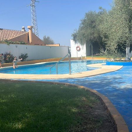 Apartamento A 8Km Sevilla Centro Valencina de la Concepcion Luaran gambar