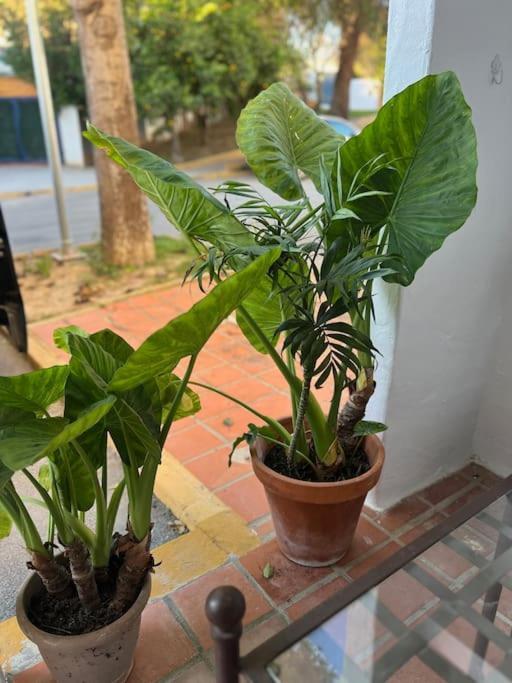 Apartamento A 8Km Sevilla Centro Valencina de la Concepcion Luaran gambar